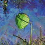 oil-water